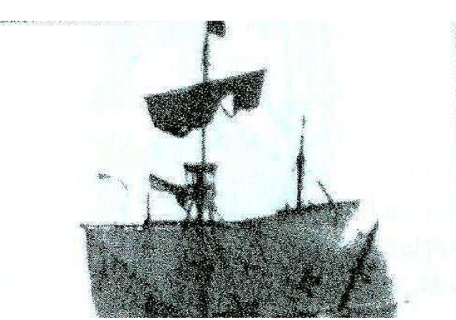 HACIA UN  MUNDO NUEVO