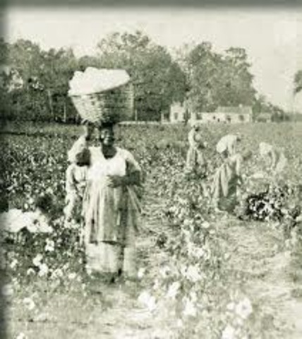African Americans in the South
