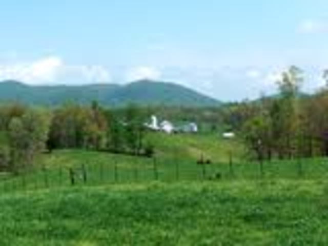 Appointed official surveyor