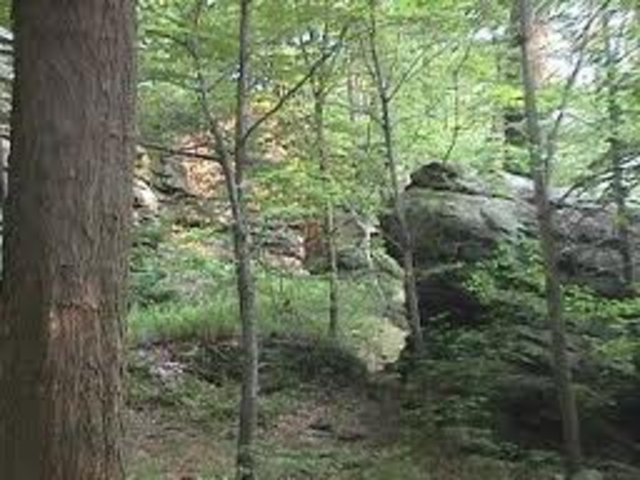 Lieutenant Colonel Washington