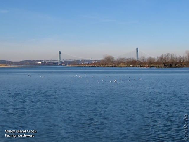 First Use of Pseudonym