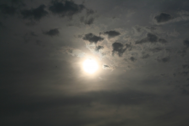 UNA LUZ EN LA OSCURIDAD