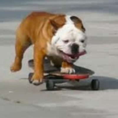 Timeline: Epic timeline of Skateboarding