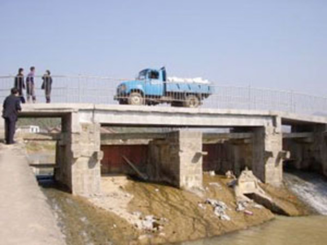 Modern Bamboo Bridge