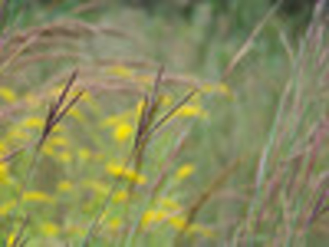 province and territories joind confederation