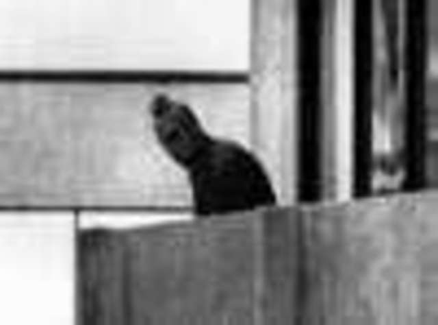 Terrorists Attack 1972 Olympic Games