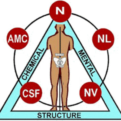 Timeline: Kinesiology