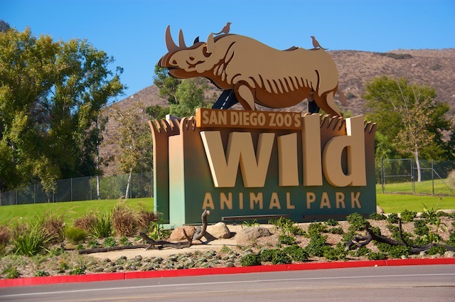 Greatest Contribution