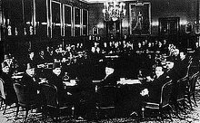 MacDonald White Paper