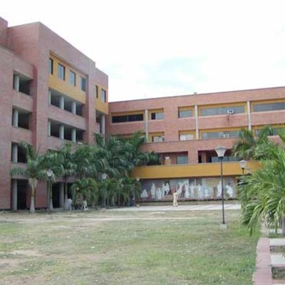 Timeline: nacimiento