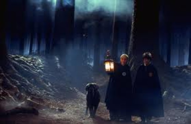 Detention in the Forbidden Forest