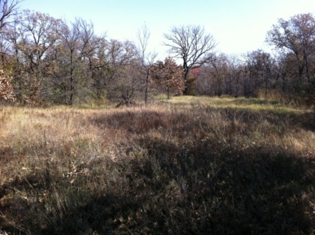 Wichita Forest, Oklahoma made first federal game preserve.
