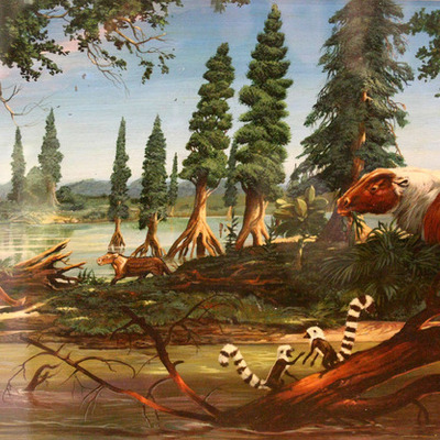 Timeline: The Cenozoic Era