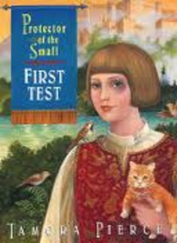 Protector of the Small: First Test