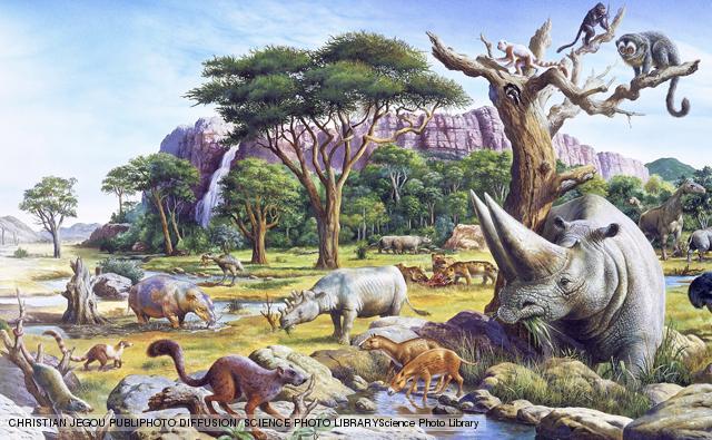 early cenozoic era