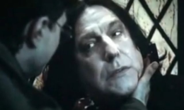 The Death of Severus Snape(cont.)