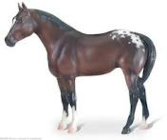 Reeves Internationial got Breyer Animal cAeations