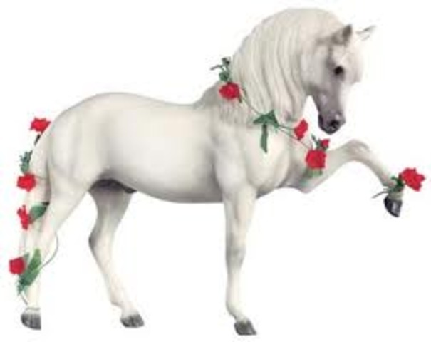 When Reeves is Founded