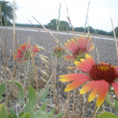 Timeline: The Six Days of Creation