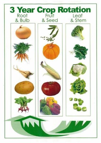 Crop Rotation