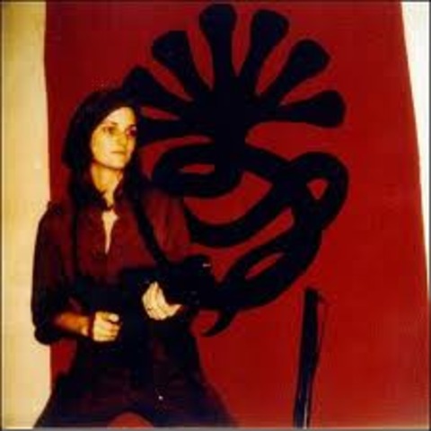 The Patty Hearst Kidnapping