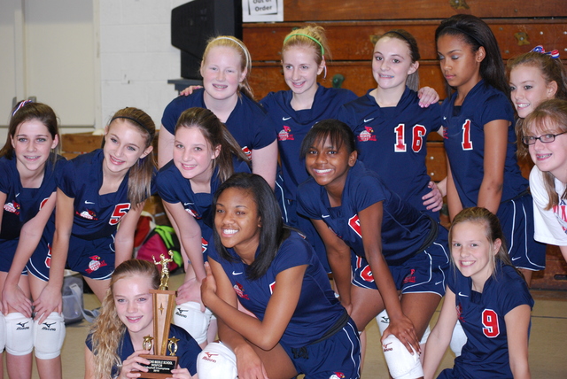 Volleyball Champions