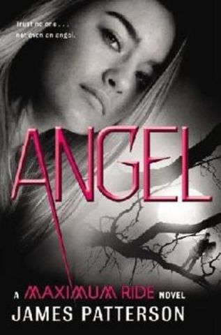 The Seventh Book of the Series, Maximum Ride is Published