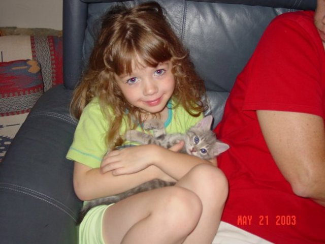 Got Grandma & Grandpa a Cat