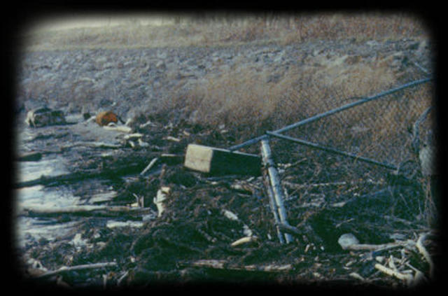 Love Canal in New York declared federal disaster