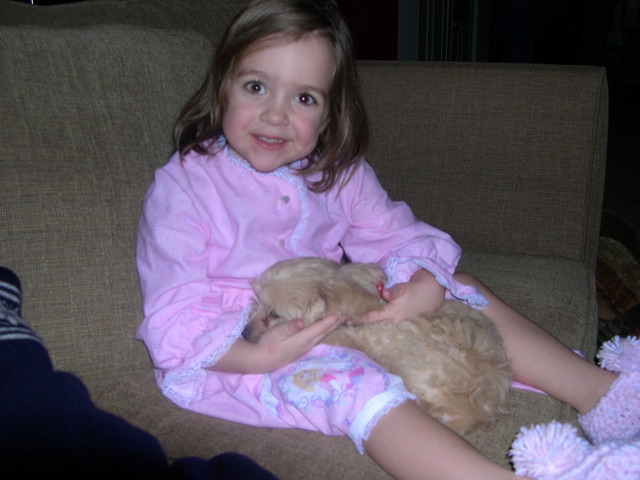 When I Got My Dog For Christmas