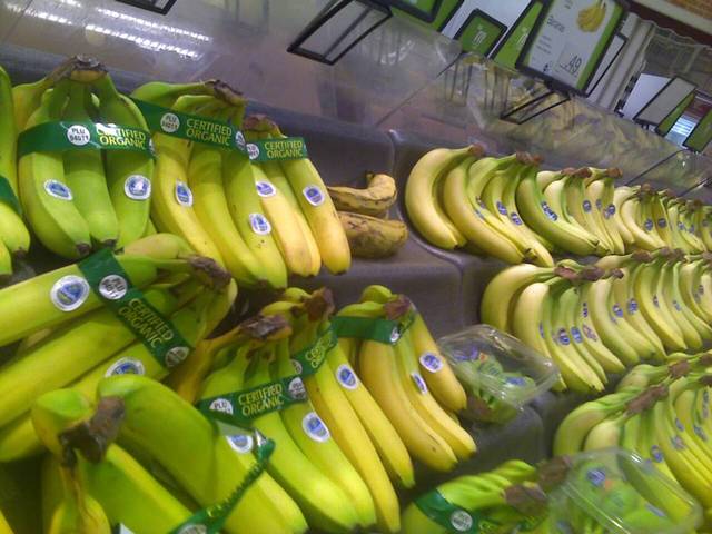 Mass production of bananas started