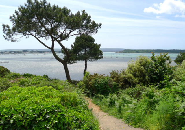 Dorset Coast and Harbour