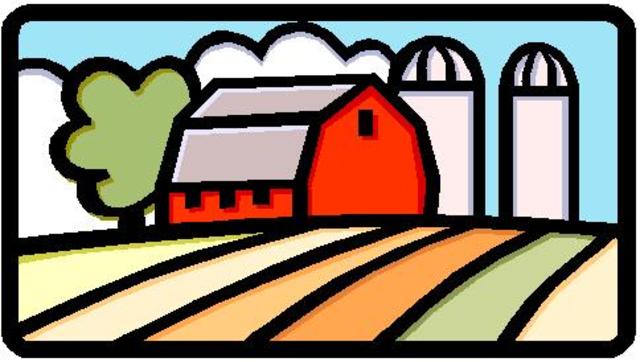 Second year of college