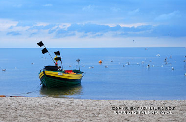 Year of Columbus' 1st sail to the Americas