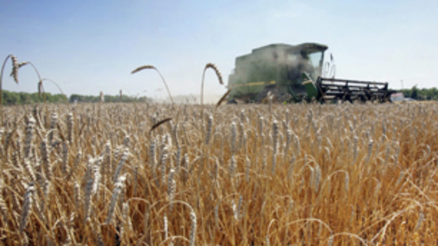 A good year for harvesting on the Praries.