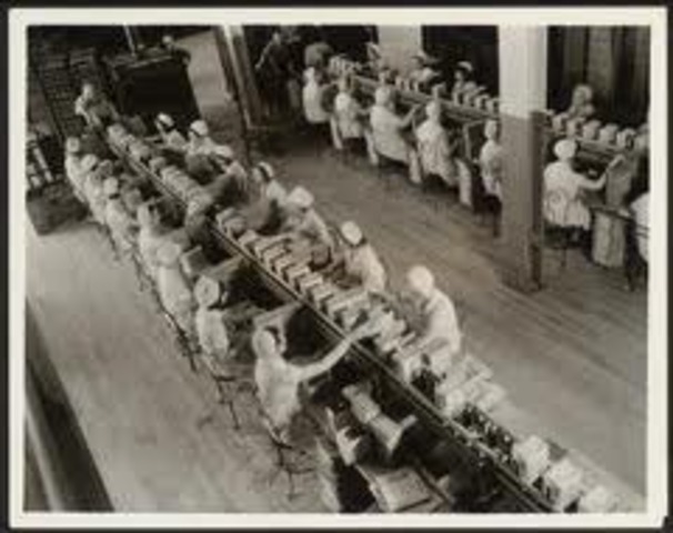 The role of Working women