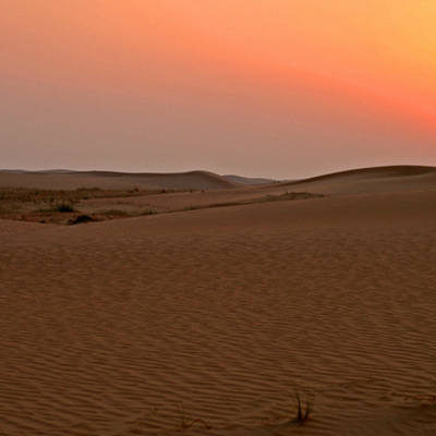 Timeline: Desert Eco System