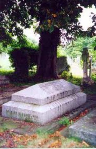 Finally Put Together