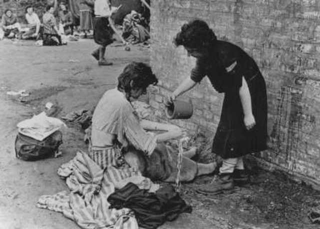 Prisoners Deported to Auschwitz