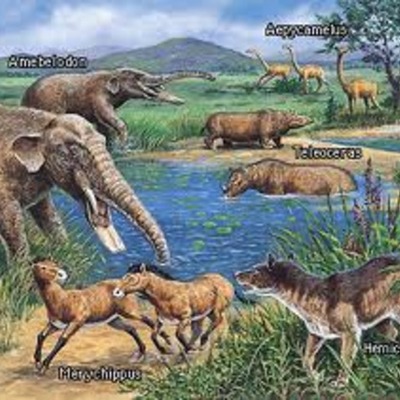 Timeline: Cenozoic Era