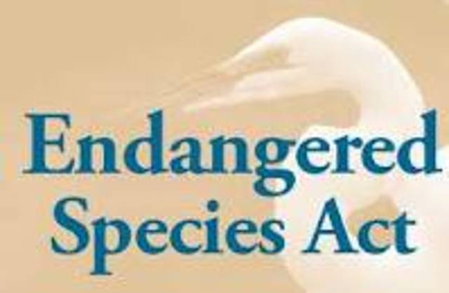 Endangered Species Act