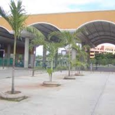 Timeline: nacimiento