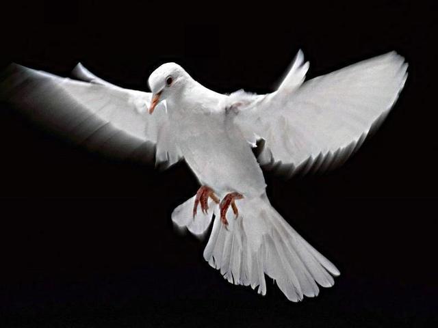 Transicion Politica 1996