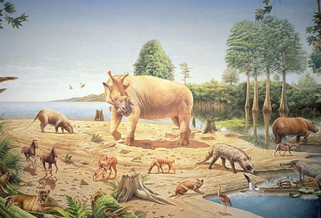 early cenozoic era