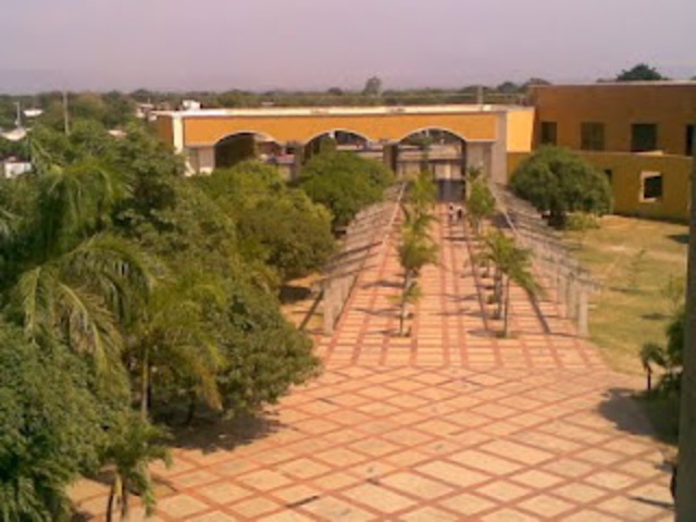 Creacion de la Universidad