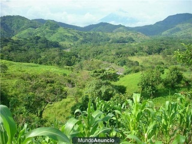 HECHOS QUE MARCARON EL INICIO DEL CONFLICTO ARMADO