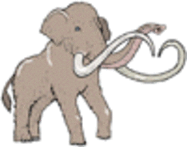 1.8 Million Years Ago - Pleistocene Epoch