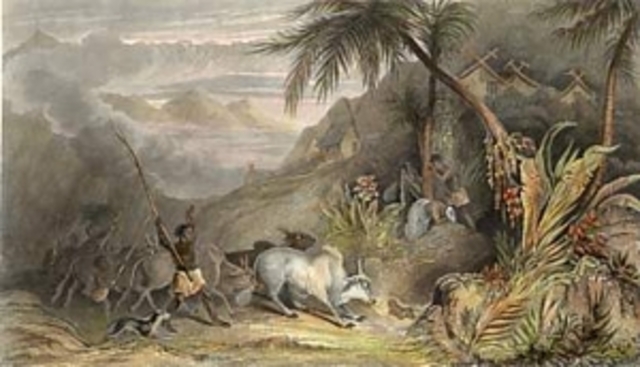 los regímenes de representación colonial y desarrollista