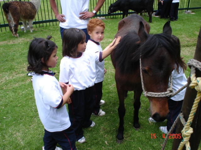 The pet´s day at the English