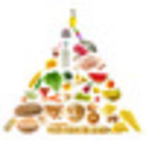 Día Mundial de la Alimentación